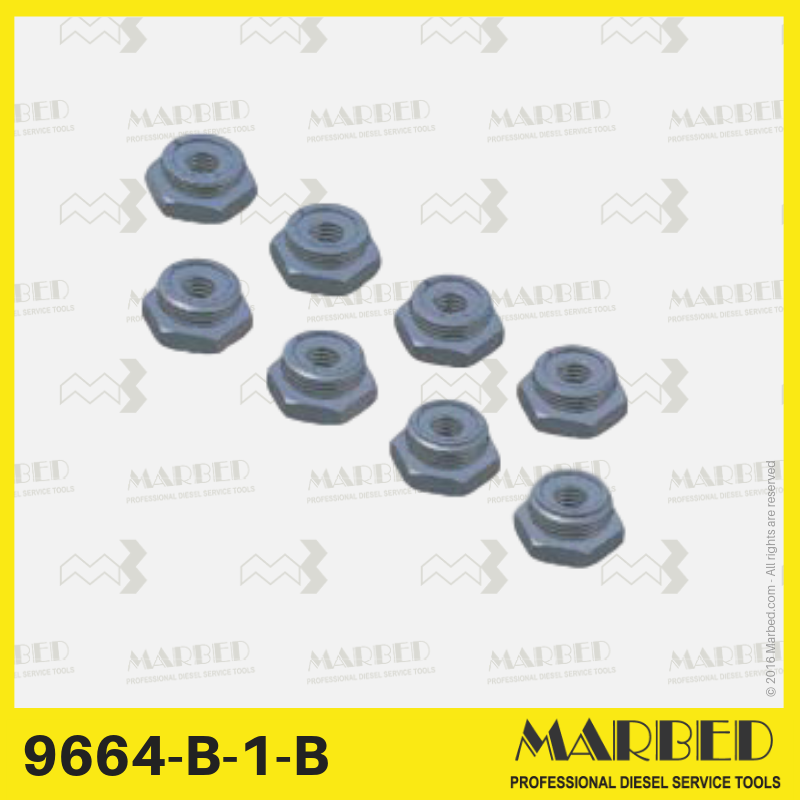 Set of 8 fixed size plugs (A-H) for pressure testing on DPS pumps.
Similar to CAV / Lucas / Delphi 7244-435.