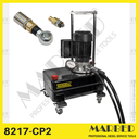 [8217-CP2] Centralina di lubrificazione per pompe CP2